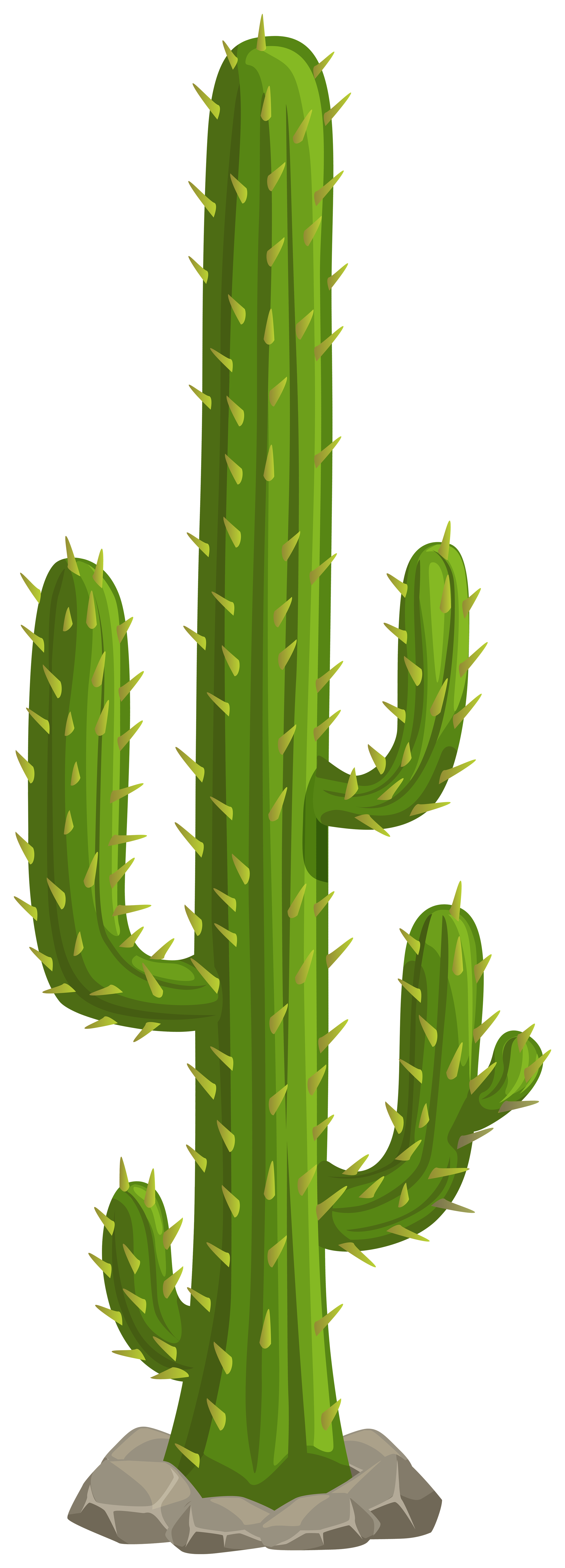 cactus png clipart 10 free Cliparts | Download images on Clipground 2024