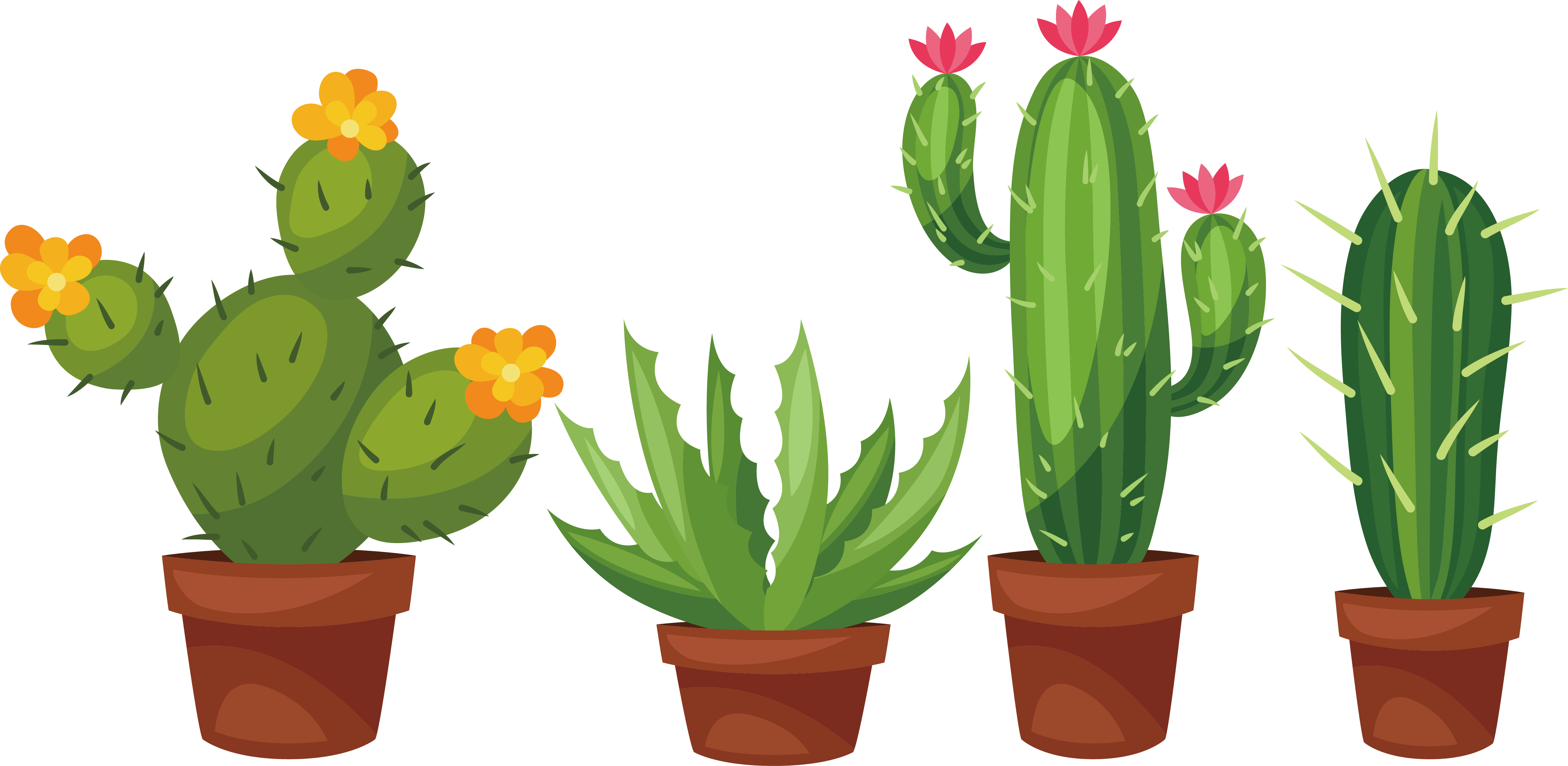 cactus illustration download free