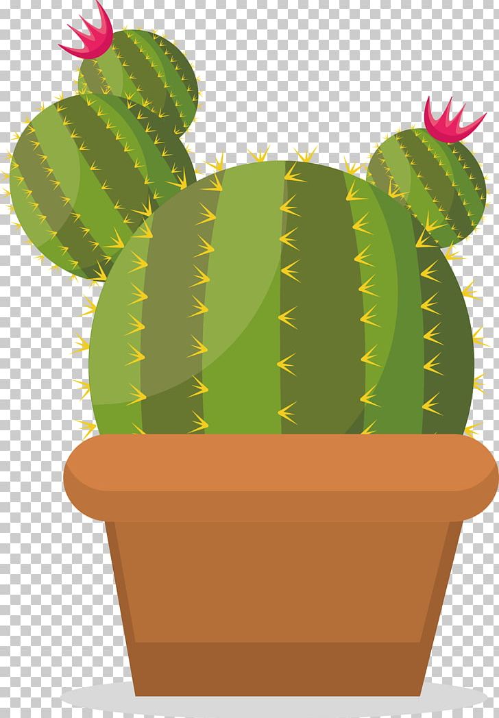 Prickly Pear Cactaceae PNG, Clipart, Background Green, Cactus.