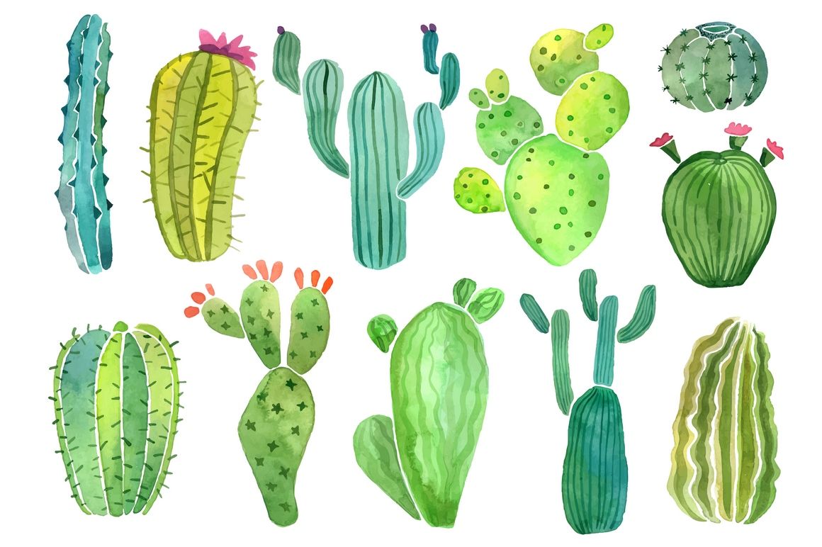 Watercolor cactus and succulent clipart set by Nadya Krupina.