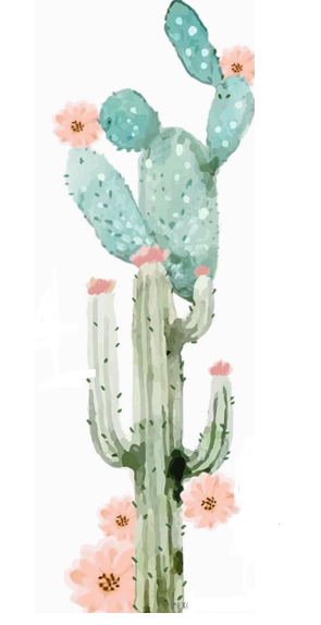 cactus watercolor // Sonia cavallini illustration.