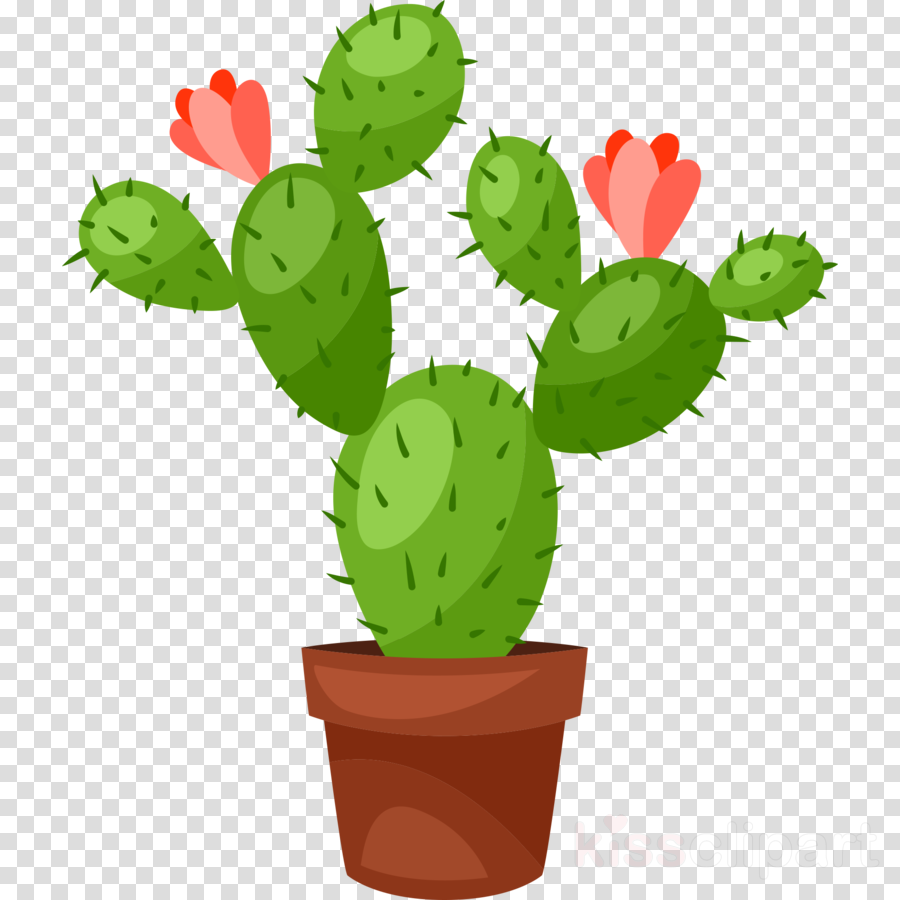 Cactus With Flowers Clipart 10 Free Cliparts Download Images On