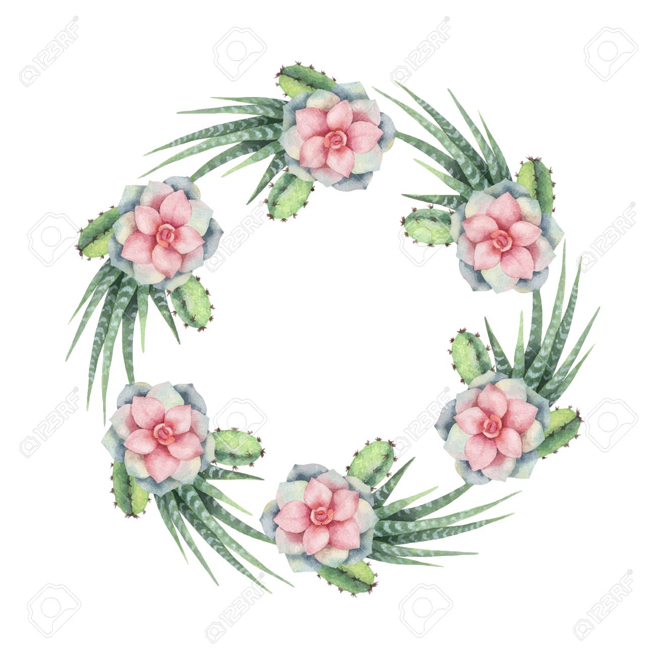 Watercolor vector wreath of cacti and succulent plants isolated...