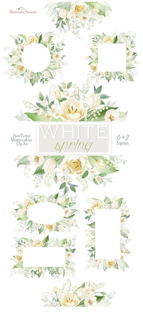 Blanc printemps aquarelle clipart, cadres de fleurs, tulipes.