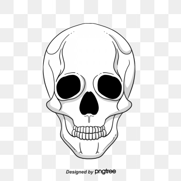 calavera png 20 free Cliparts | Download images on Clipground 2024