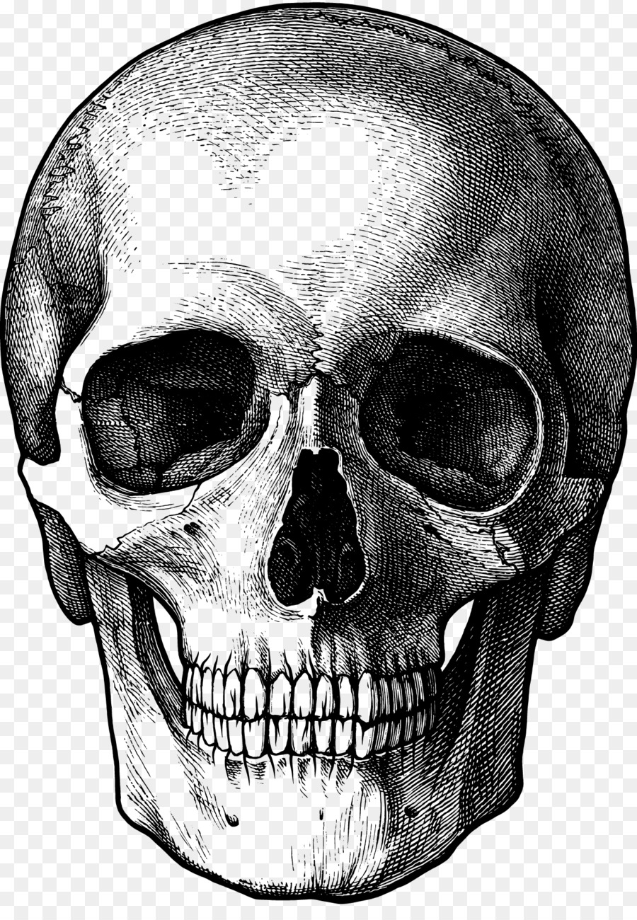 Calavera Skull Silhouette Clip art.