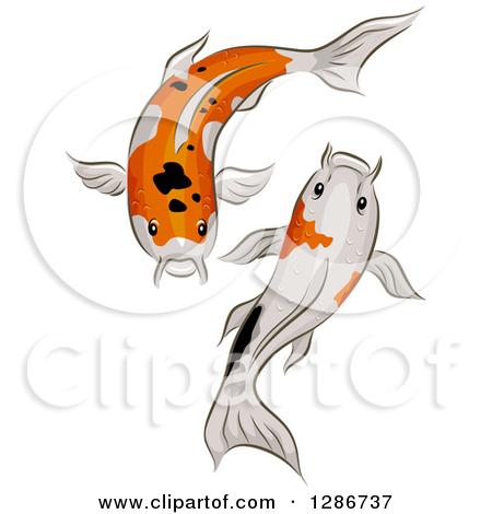 Clipart of a Calico Koi Fish.