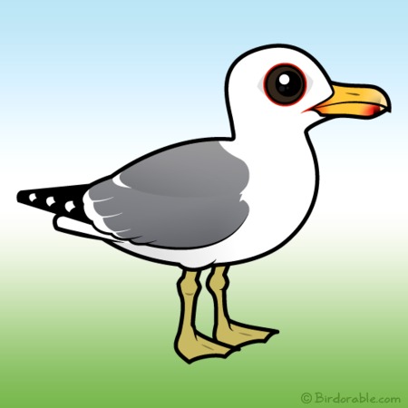 Cute California Gull by Birdorable < Meet the Birds.
