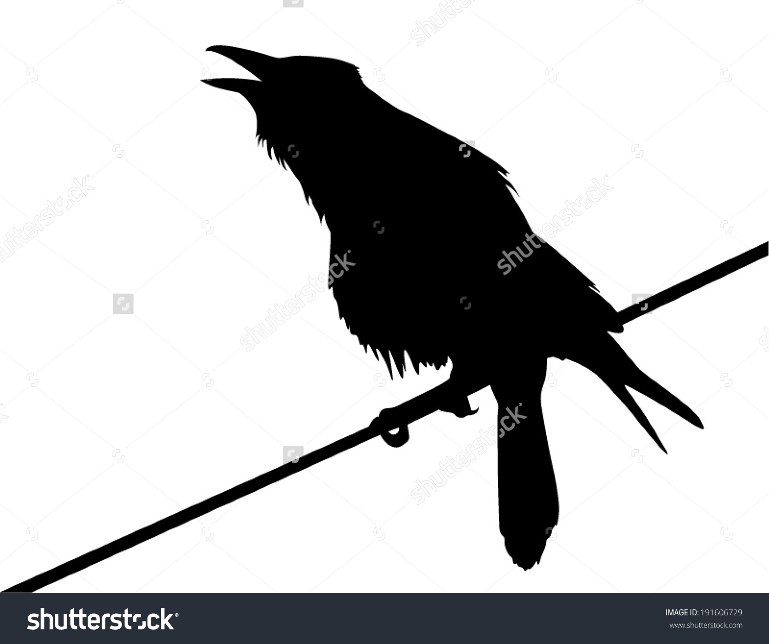 Vector Silhouette Crow Perched On Wire Stock Vector 191606729.