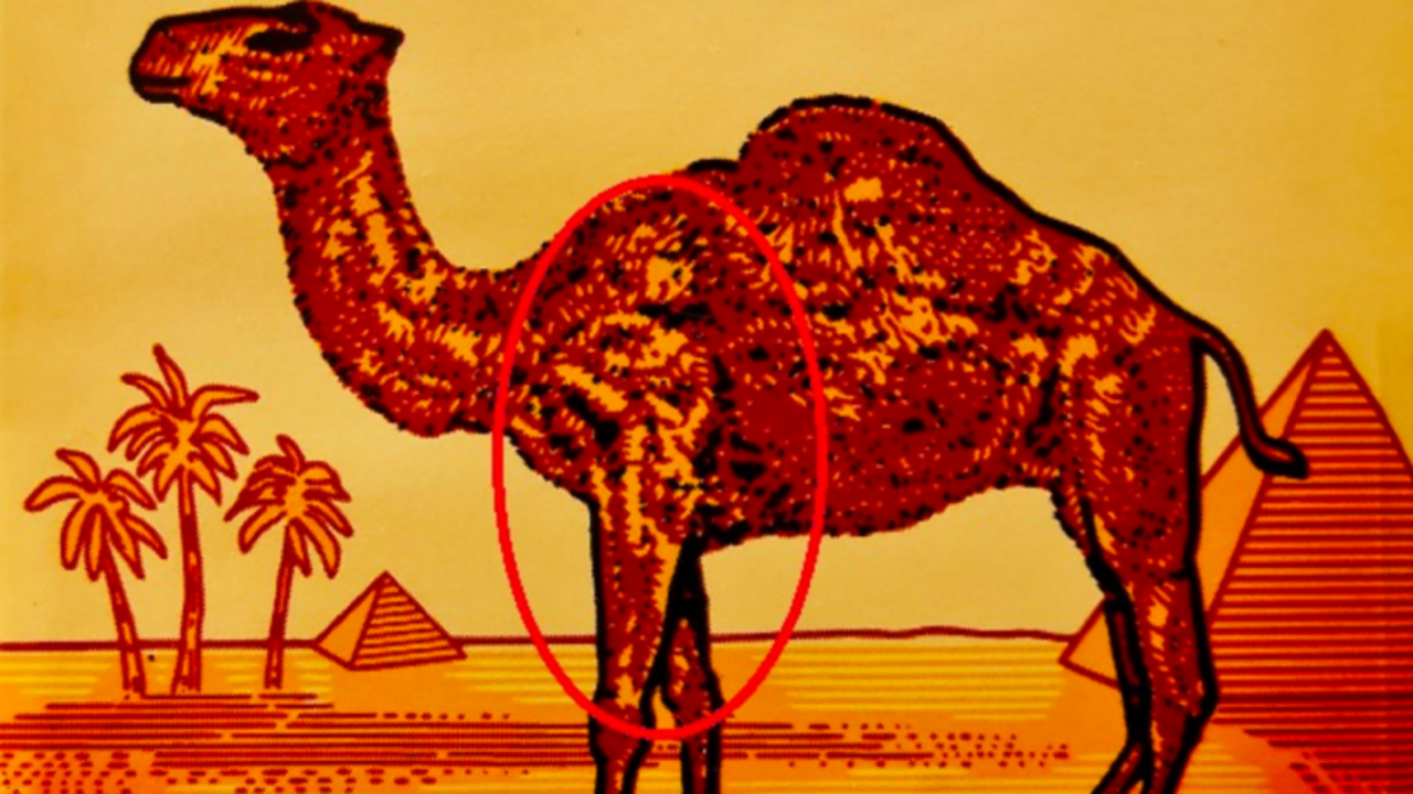 Hidden Message Behind Camel Cigarette Logo.