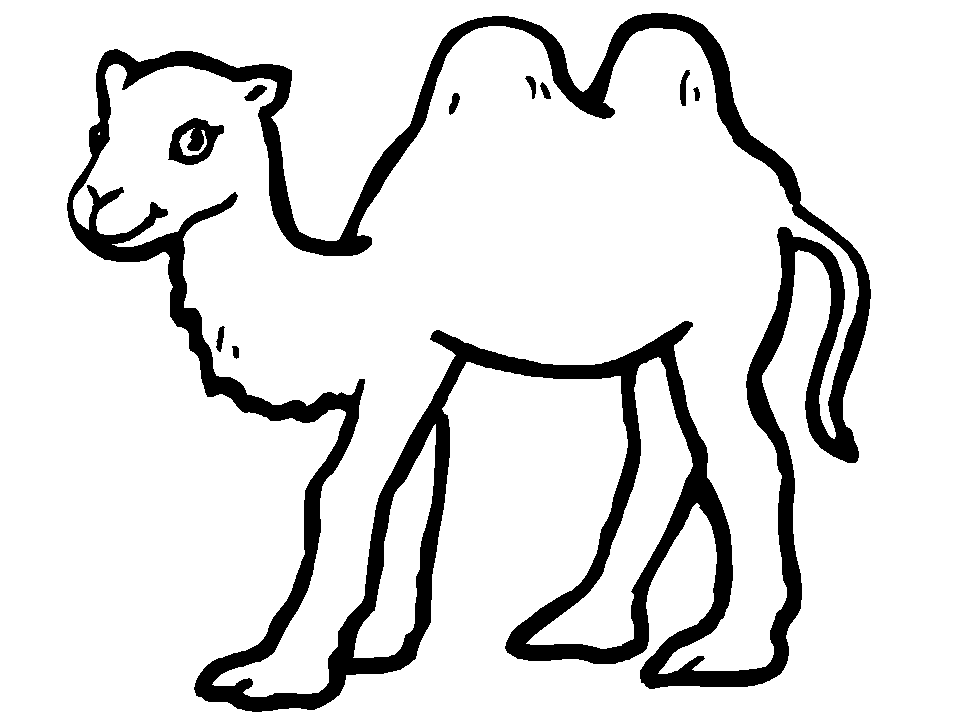 Free Cartoon Pictures Of Camels, Download Free Clip Art, Free Clip.