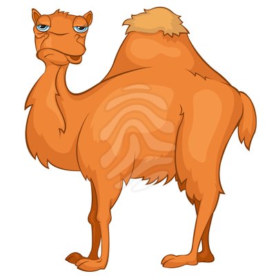 Camel clip art cartoon.