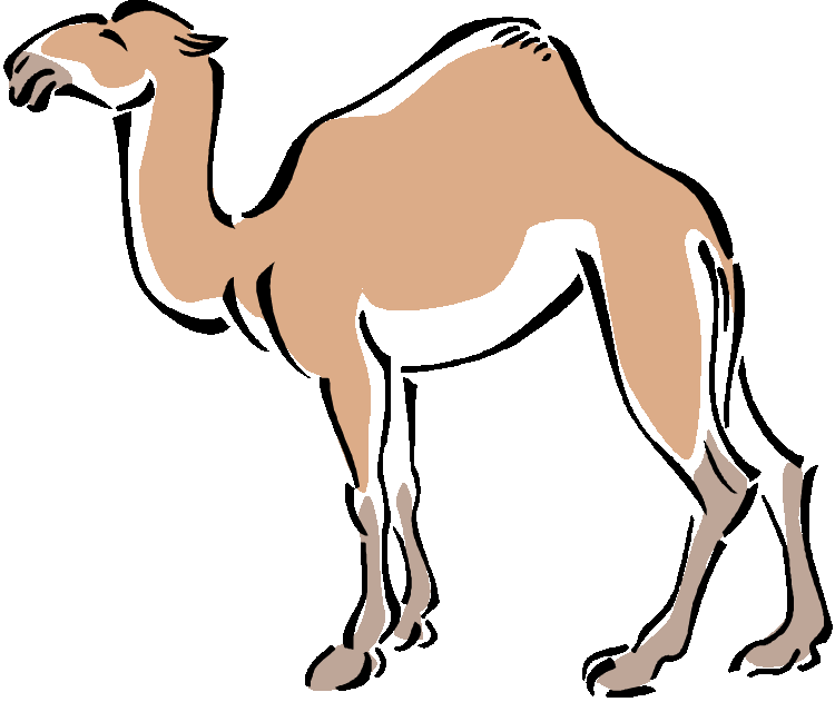 Camel Clipart.