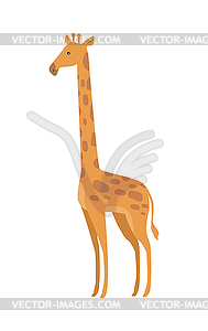 Giraffa Camelopardalis Cartoon Animal.