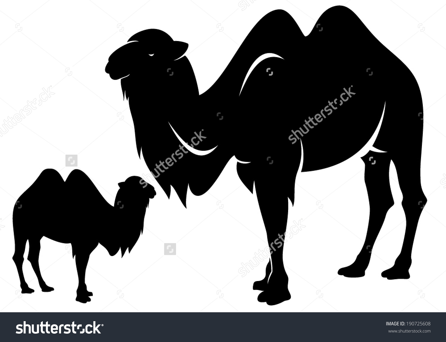 Bactrian Camel (Camelus Bactrianus) Black And White Vector Outline.