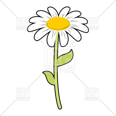 Camomile field clipart 20 free Cliparts | Download images on Clipground ...