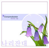 Stock Illustration of korean characters, nature, campanulaceae.