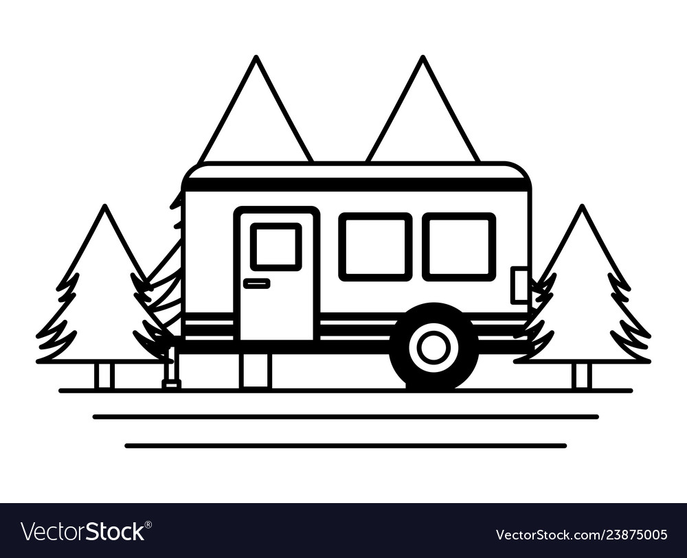 Camper trailer trees.