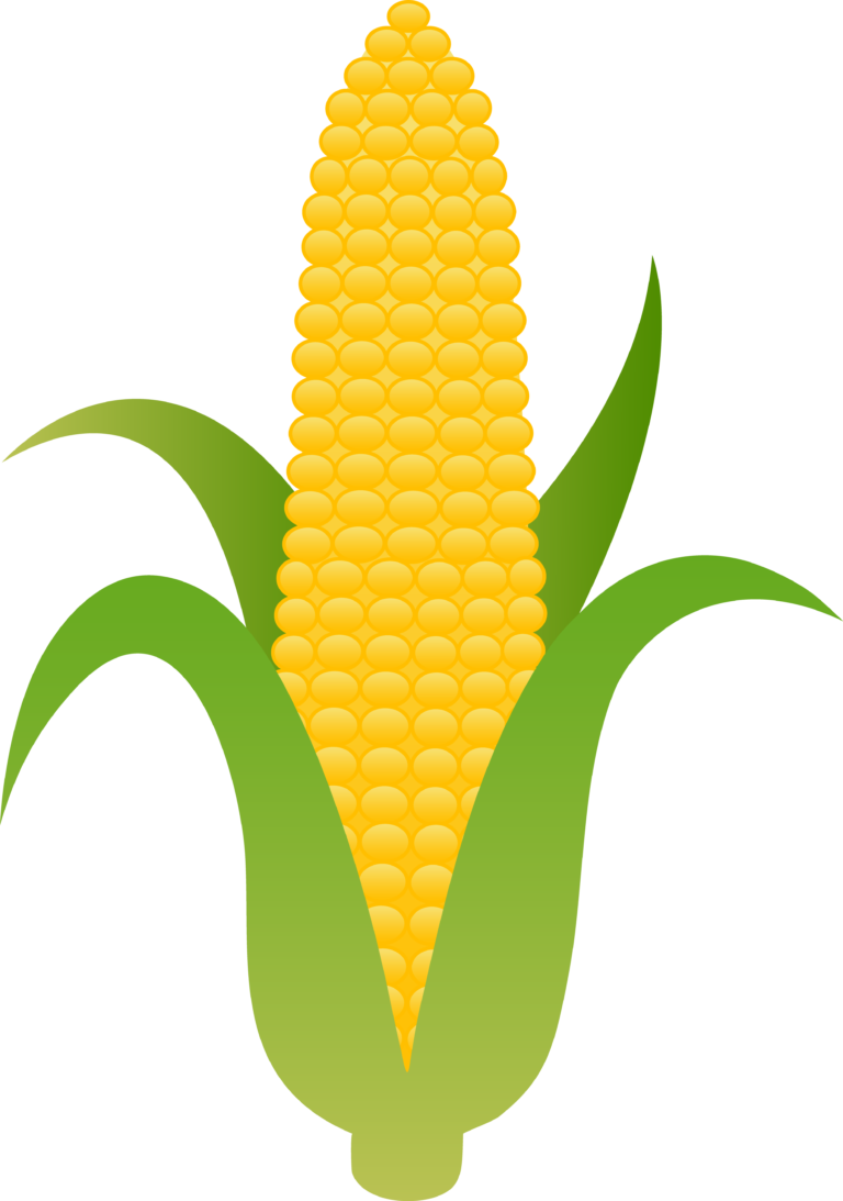 In the can corn clipart kid.