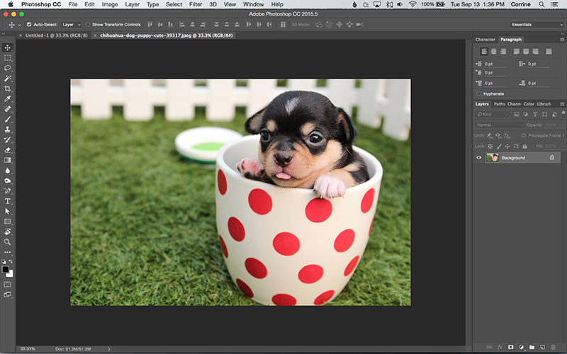 How to Turn a Photo into a Vector Line Art with Illustrator.