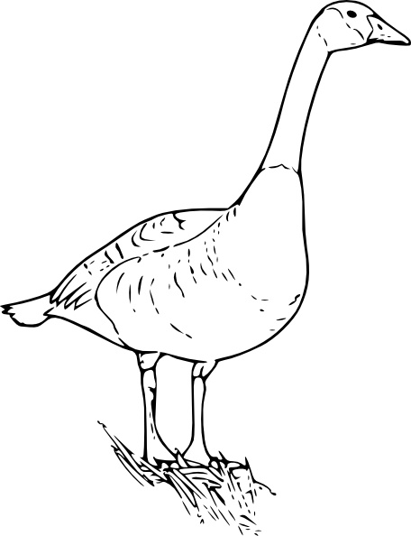 Canada Goose clip art Free vector in Open office drawing svg.