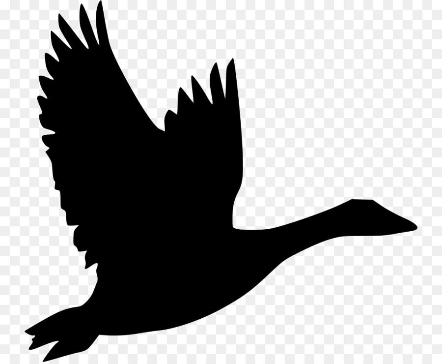 Bird Logo clipart.