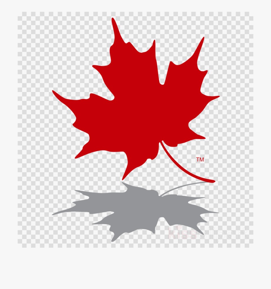 Maple Leaf Logo Red 10 Free Cliparts Download Images On Clipground 2023