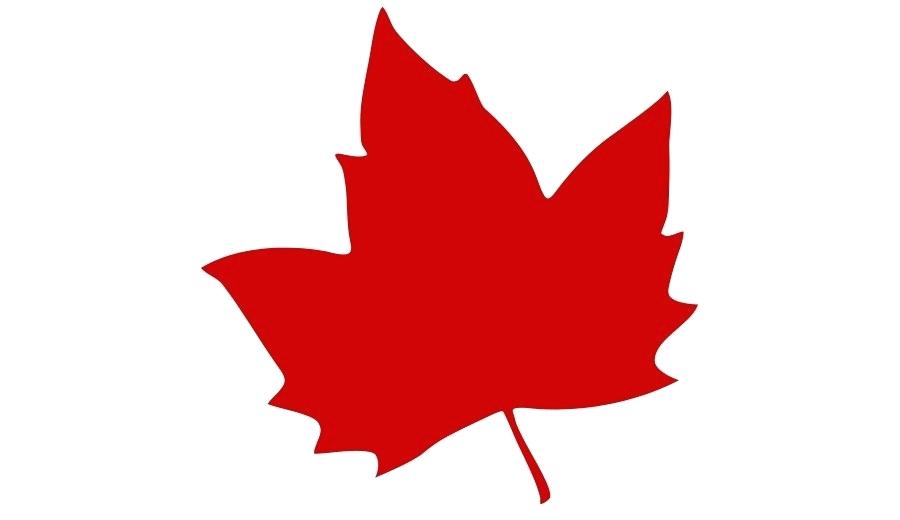 maple leaf clipart.
