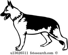 Canine Clipart Illustrations. 15,412 canine clip art vector EPS.