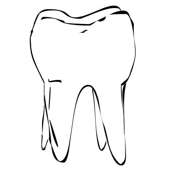 Canine tooth clipart.