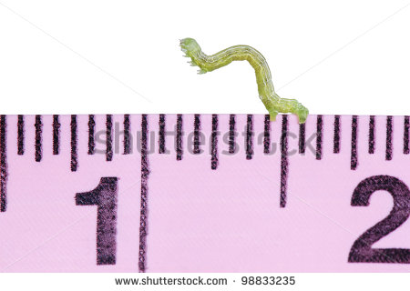 Tape Worm Clipart.