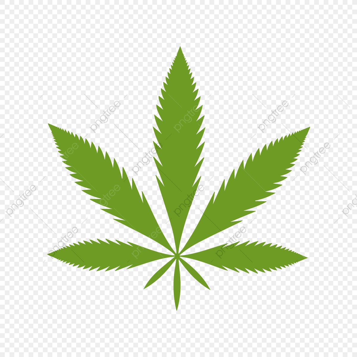 Cannabis Or Marijuana, Cannabis, Marijuana PNG and Vector with.