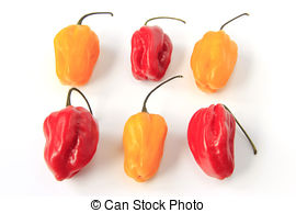 Stock Photo of Habanero Pepper (Capsicum Chinense).
