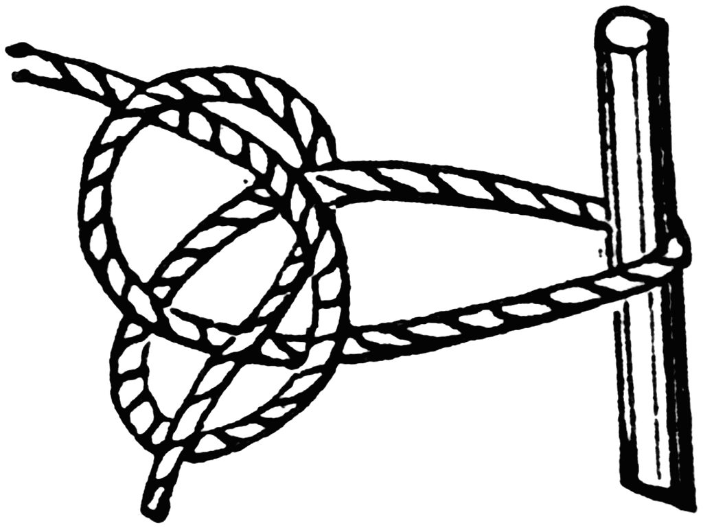 Knot Clipart.