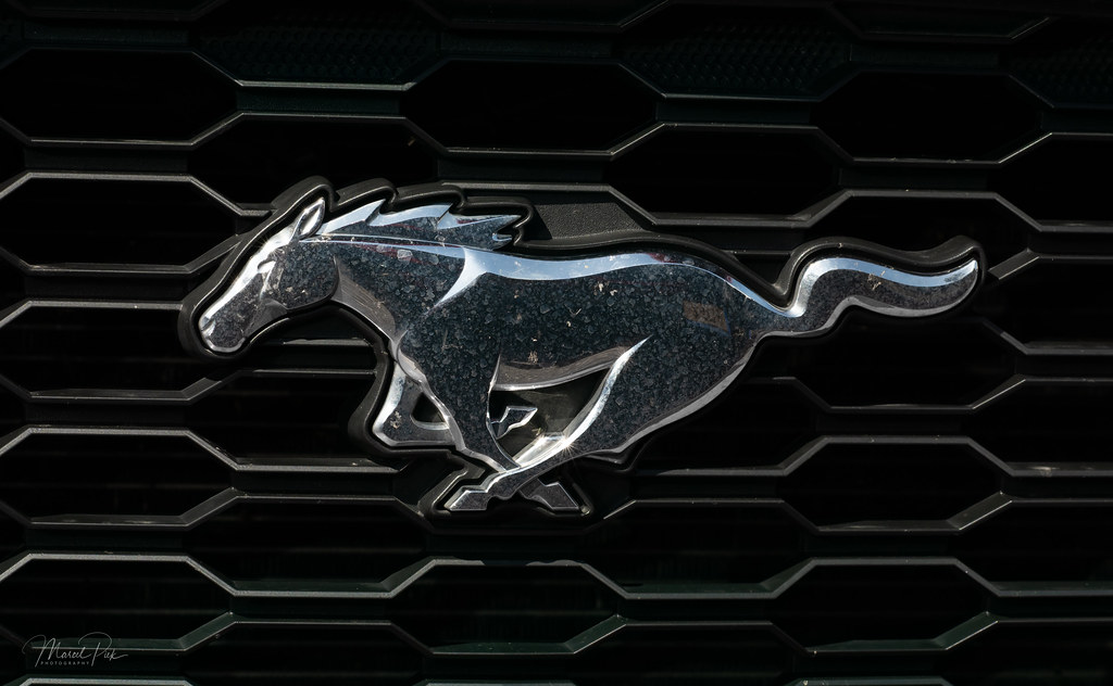 car logo with horses 10 free Cliparts | Download images on Clipground 2022