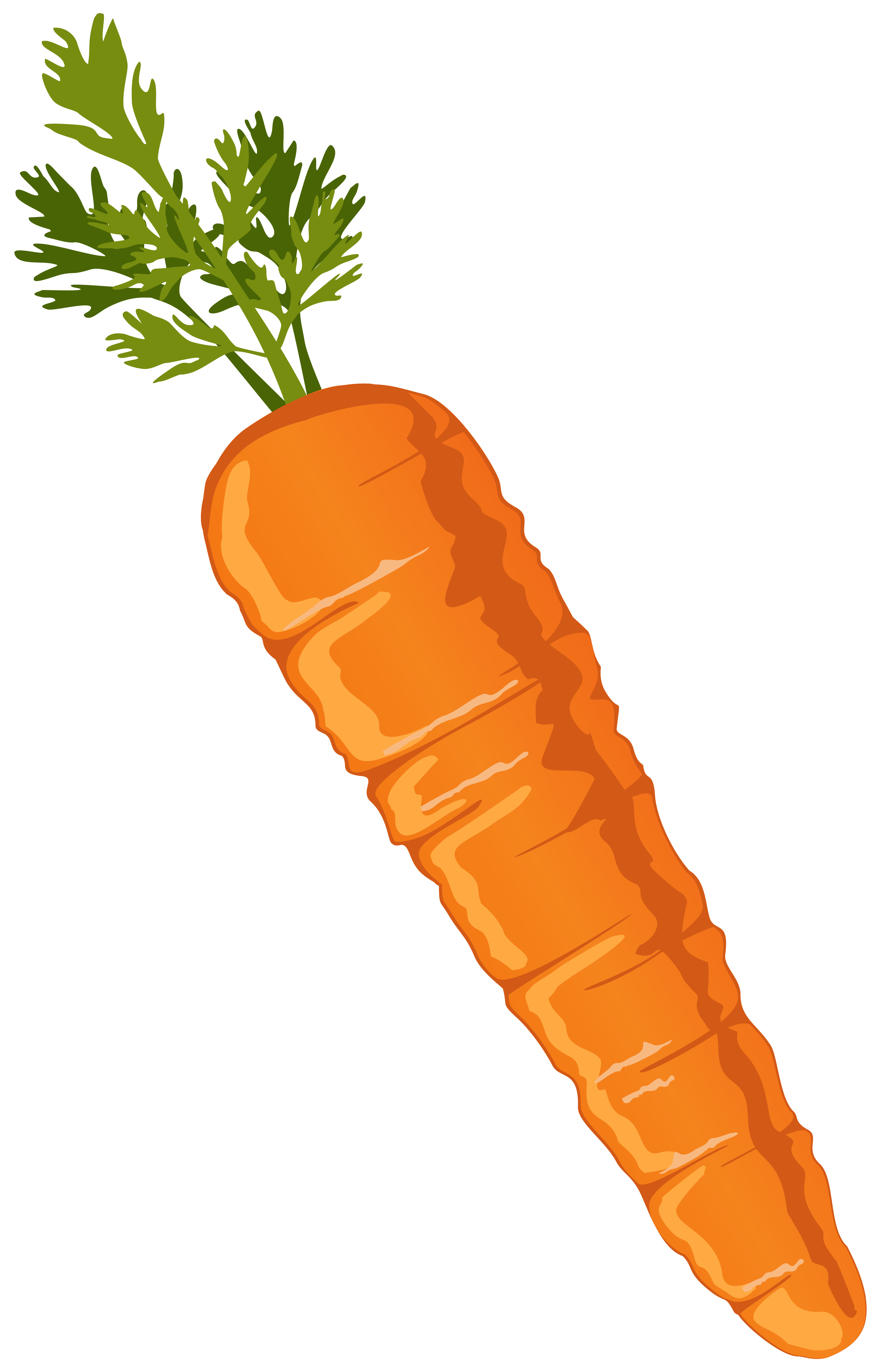 Carrot Clip Art.