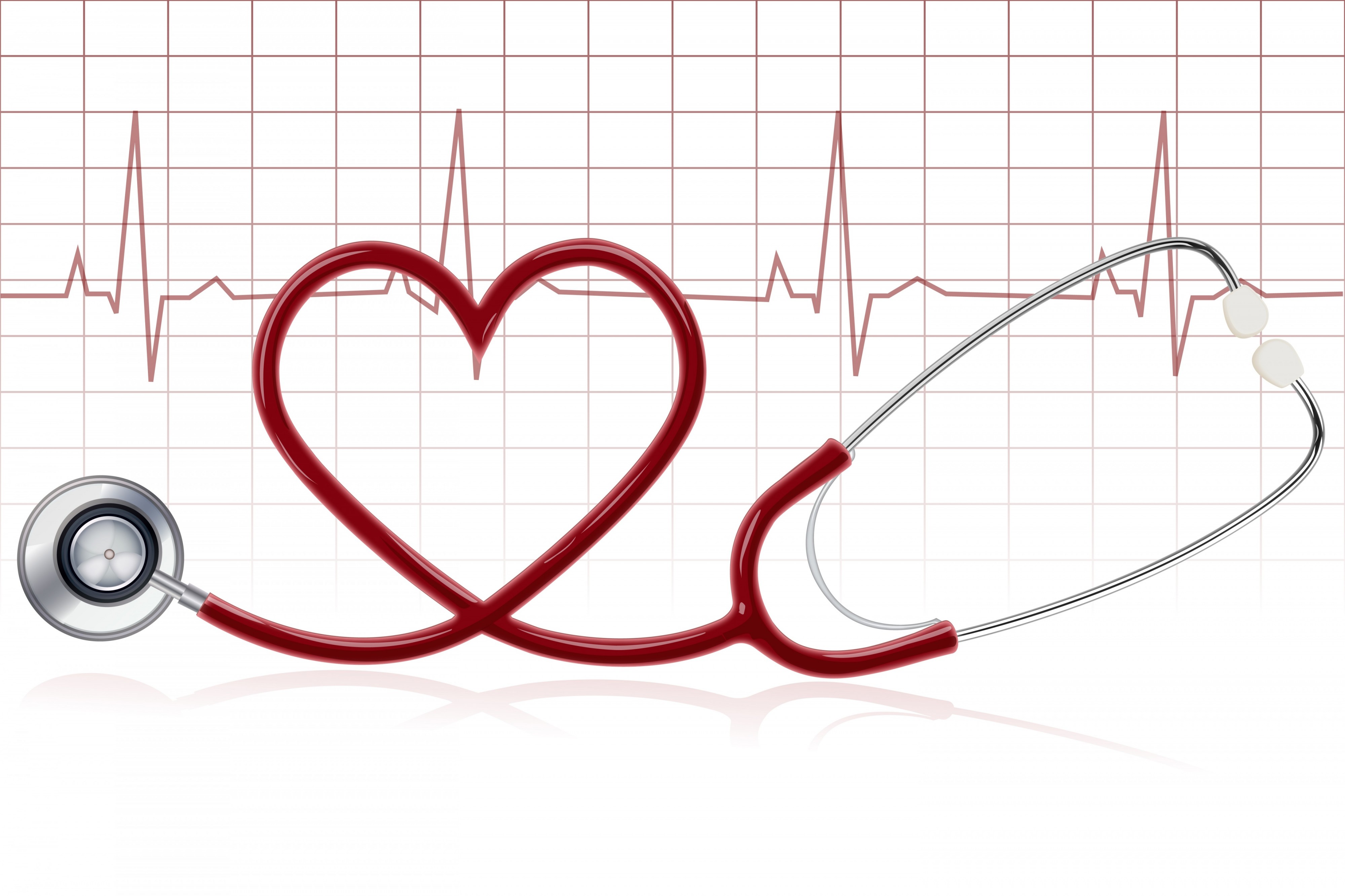ilustraci-n-de-coraz-n-humano-concepto-de-cardiolog-a-m-dicos