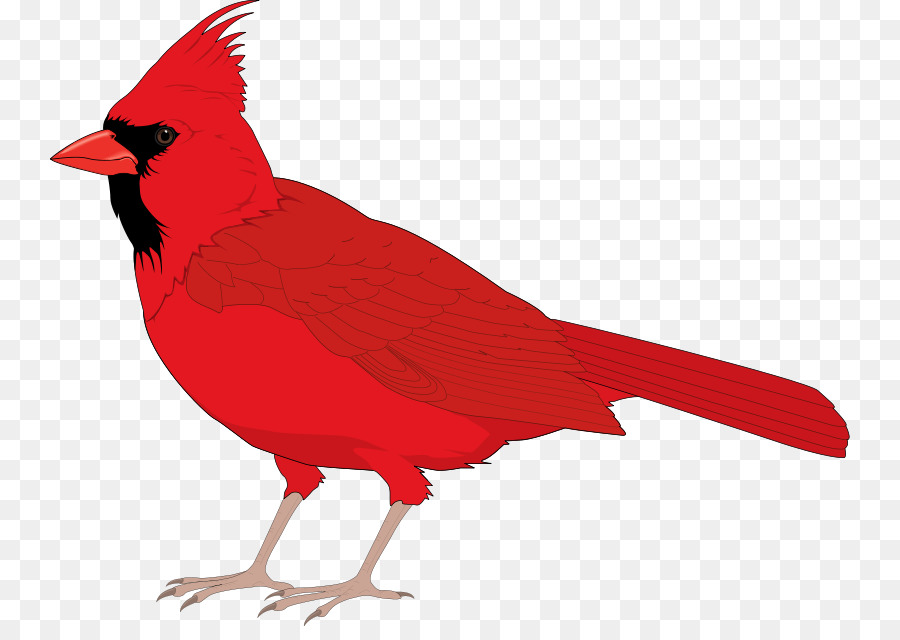 cardinal bird clip art 20 free Cliparts | Download images on Clipground