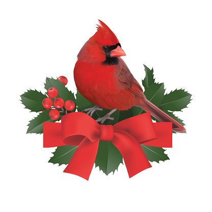Cardinal Bird Christmas Clip Art