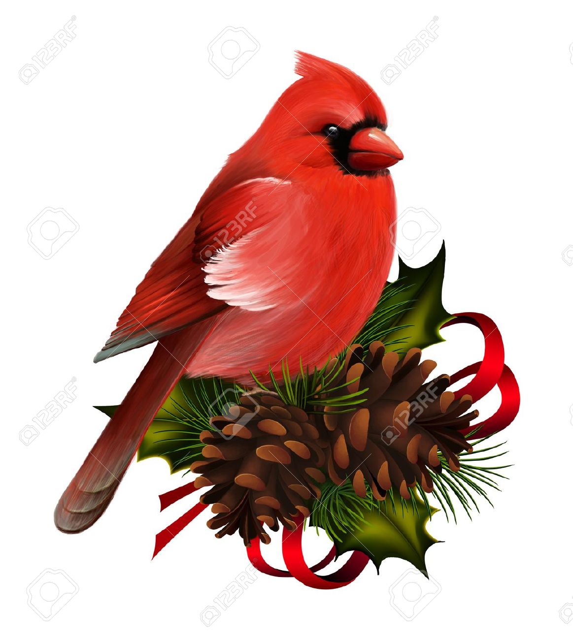 Cardinal clipart vintage, Cardinal vintage Transparent FREE.