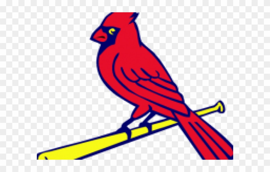 Free Cardinal Clipart.