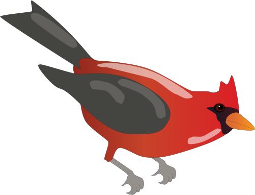Cardinalis cardinalis (Northern Cardinal).