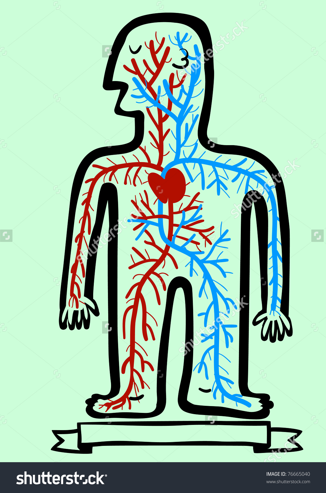 cardiovascular system clipart 20 free Cliparts | Download images on