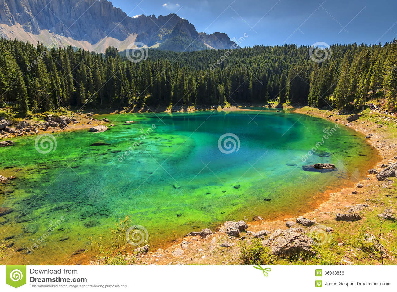 Carezza Lake In Dolomites,Val Di Fassa,South Tyrol,Italy Royalty.