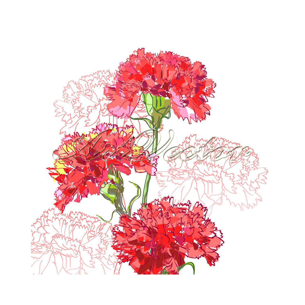 Free Carnation Cliparts, Download Free Clip Art, Free Clip.