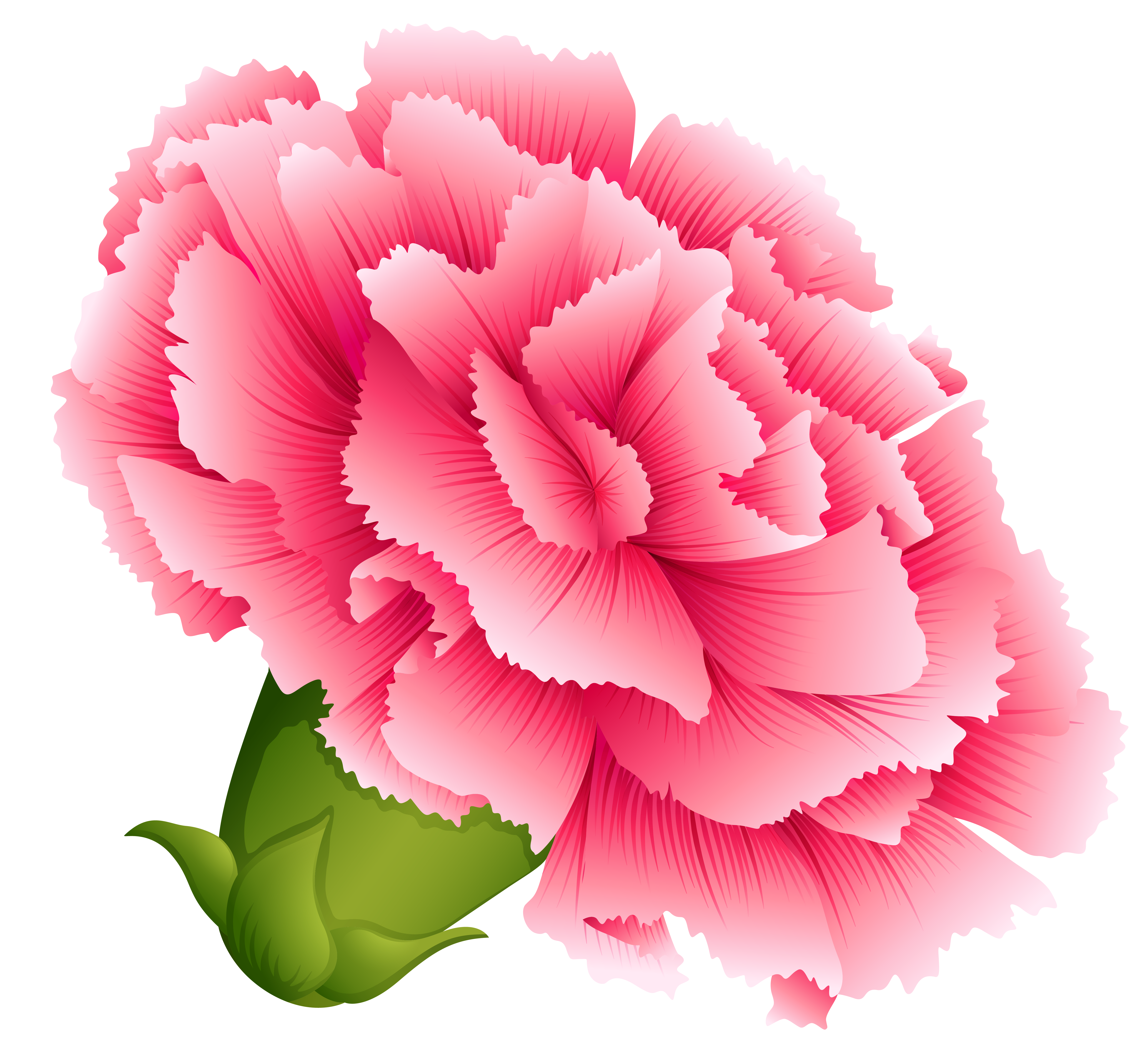 the secret of the pink carnation