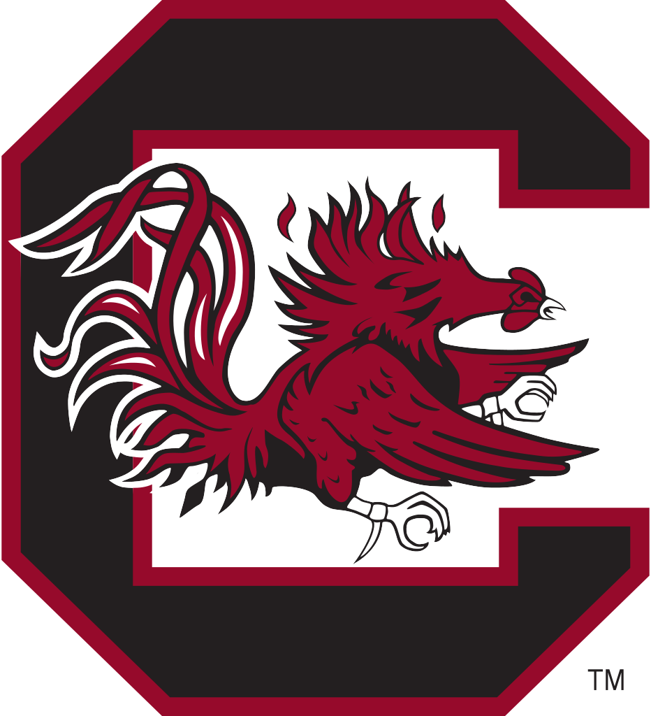 Carolina Gamecocks Clip Art 20 Free Cliparts Download Images On