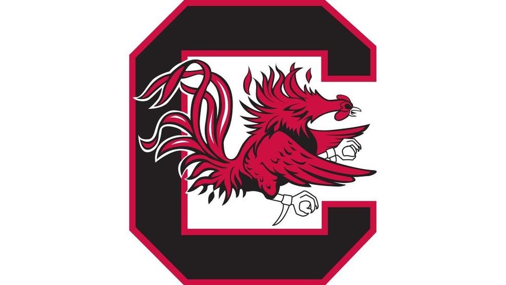 usc gamecocks logo 10 free Cliparts Download images on Clipground 2024