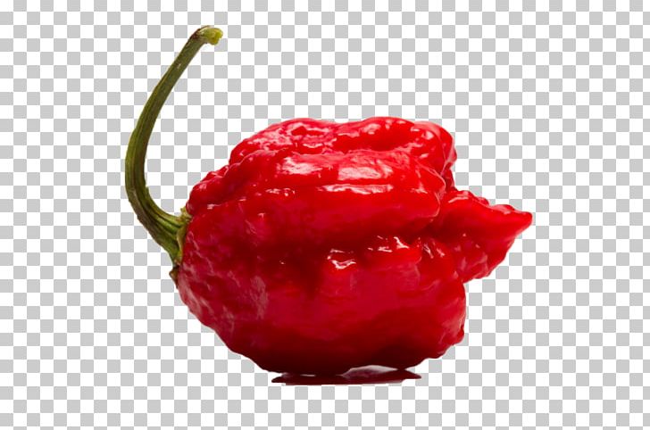 carolina reaper clipart 10 free Cliparts | Download images on