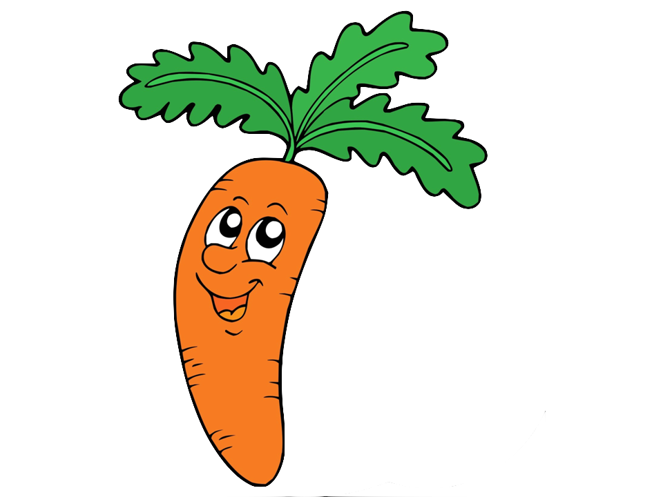 La carotte et ses bienfaits.